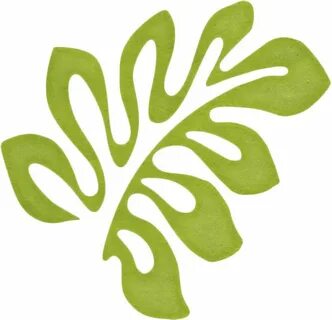Other leaf