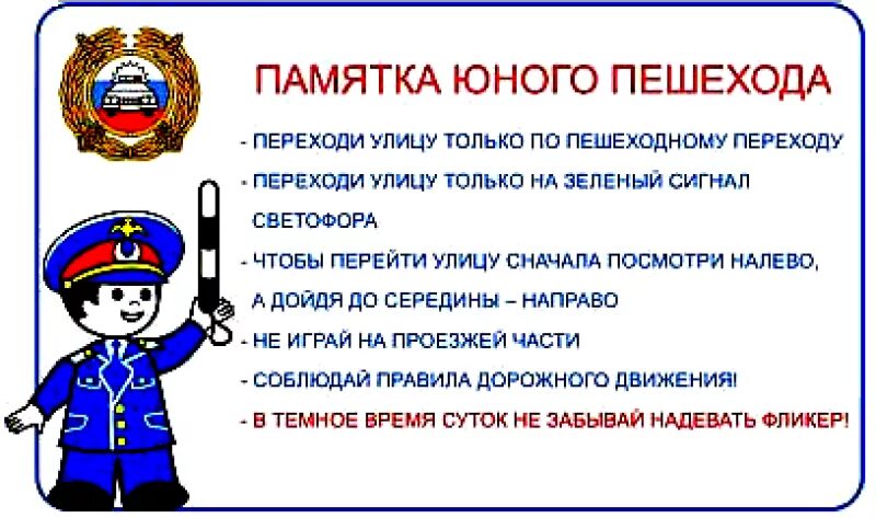 Презентация на тему: "Социально- образовательный проект "В ногу с ПДД, за руку с