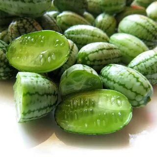 Мелотрия рецепты