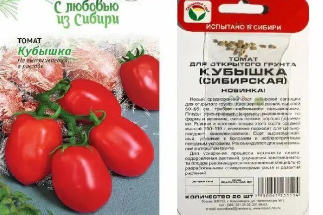 Сорт кубышка помидоры. Кубышка Сибирская томат. Томаты кубышка описание сорта. Томат кубышка характеристика.