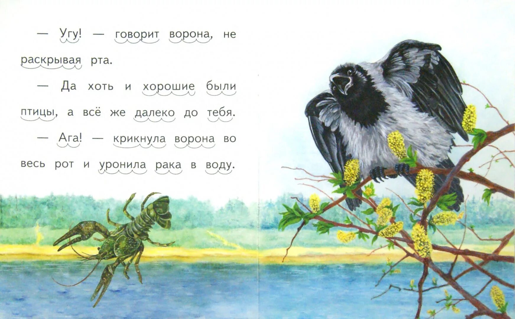 Рассказ ворон и сорока. Ушинский к.д. "ворона и рак". Иллюстрации к произведениям к.д. Ушинского.