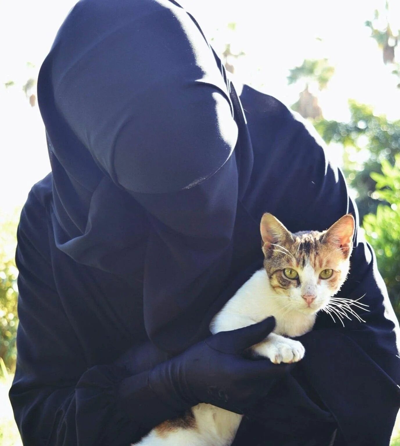 Мусульманский кот. Котенок в хиджабе. Мусульманка с котом. Девушка в хиджабе с котом. Кошка в парандже.