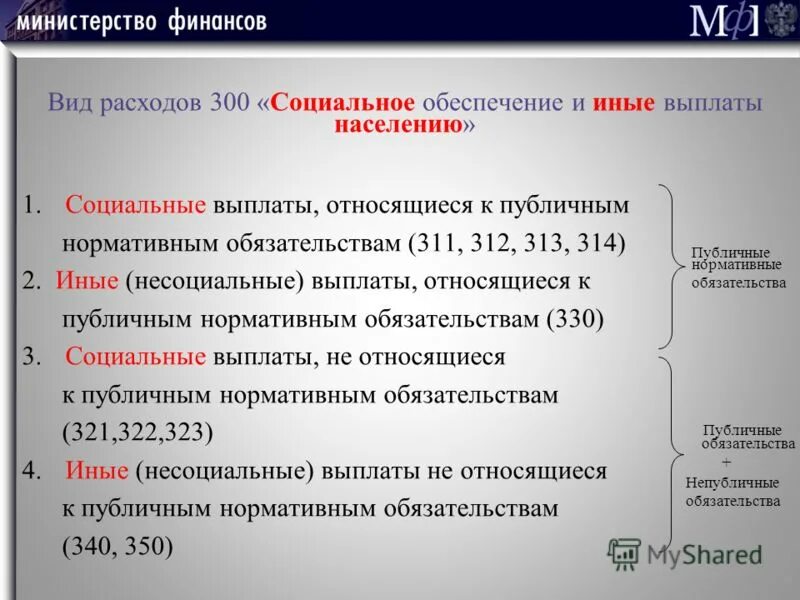 Вид уплаты. Какие выплаты относятся к социальным. Что относится к социальным выплатам. Виды публичных нормативных обязательств. Какие виды относятся к социальным выплатам.