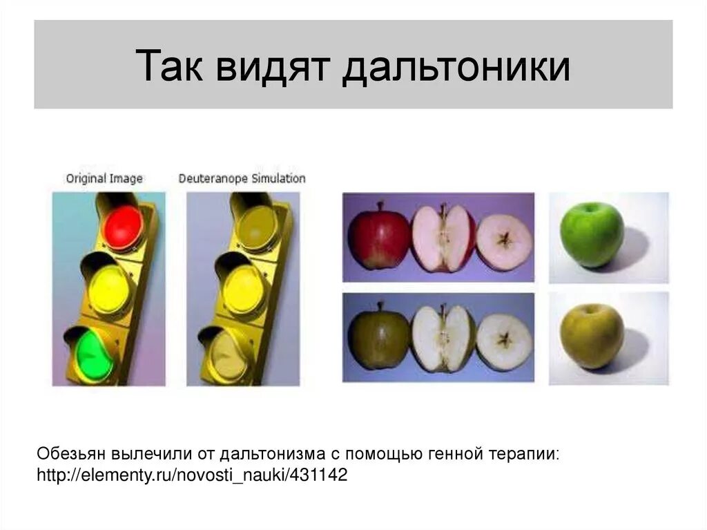 Дальтоник. Что видят дальтоники. Как видят мир дальтоники. Цвета которые путают дальтоники.