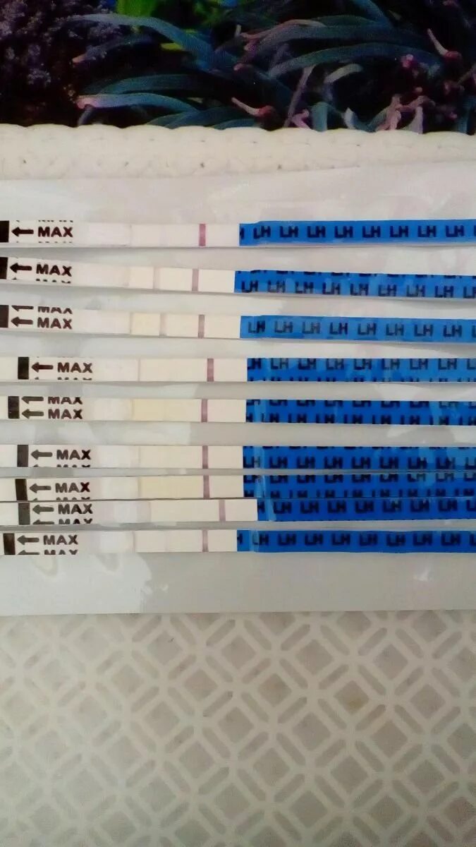 Задержка тест отрицательный. Тест на 9 день задержки. 5 Дней задержки тест отрицательный. Задержка 4 дня тест отрицательный. Задержка 5 дней и тянет низ живота