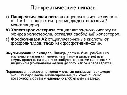 Панкреатическая липаза