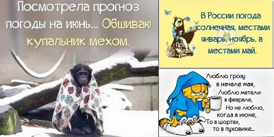 анекдоты про погоду в мае