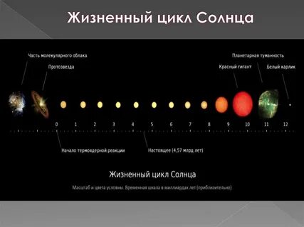 Сколько живут звезды