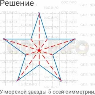Ось звезды
