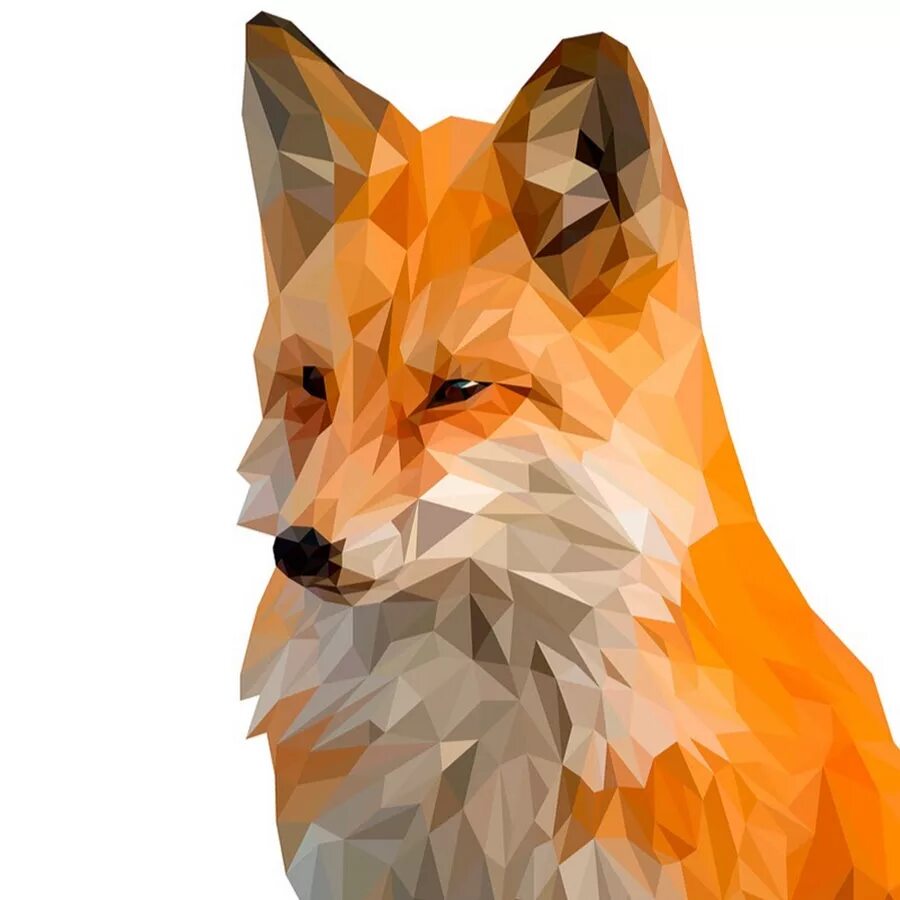 Smart Fox. Смарт с лисой. Английский Smart Fox. Клипарт умный Фокс. Smart fox отзывы