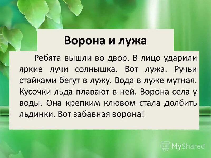 Легкий текст 2 класс. Небольшие тексты для переписывания. Маленький текст для 1 класса. Списывание для 1мкласса. Текст для списывания 1 класс.