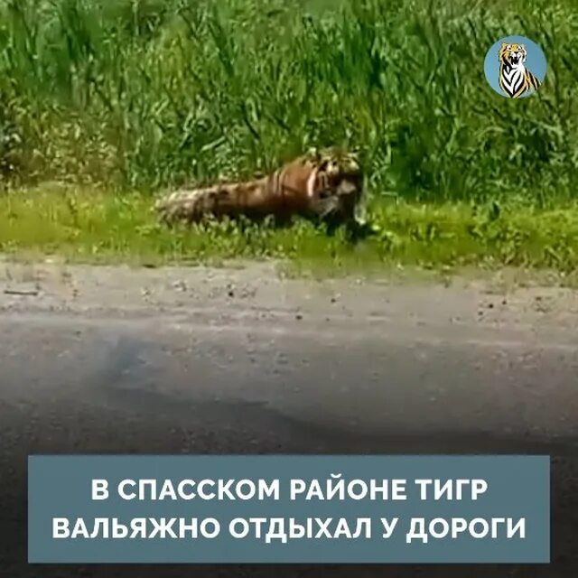 Приморье поехали