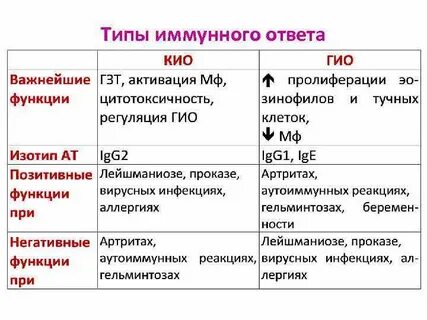 Суть иммунного ответа