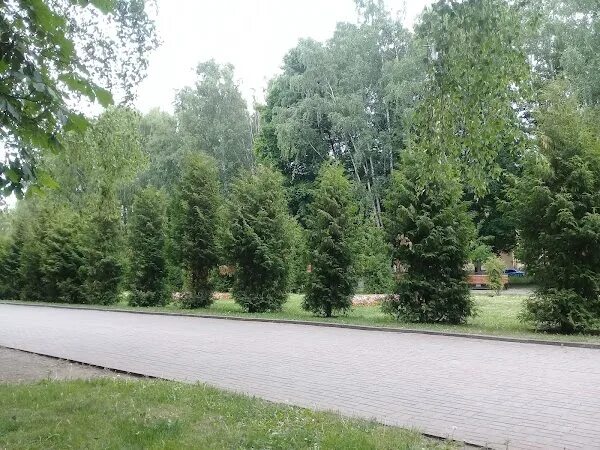 Москва улица бульвар рокоссовского. Бульвар рокоссовского москва. Парк рокоссовского. Парк рокоссовского. Парк рокоссовского.