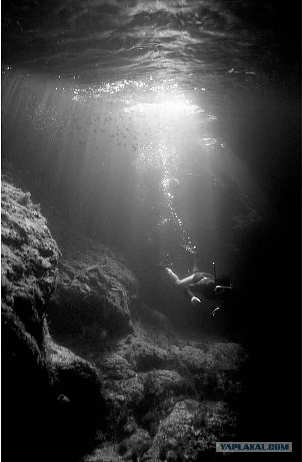 Фото черной воды. Под водой. Подводный мир черно белый. Черная вода. Под черной водой.