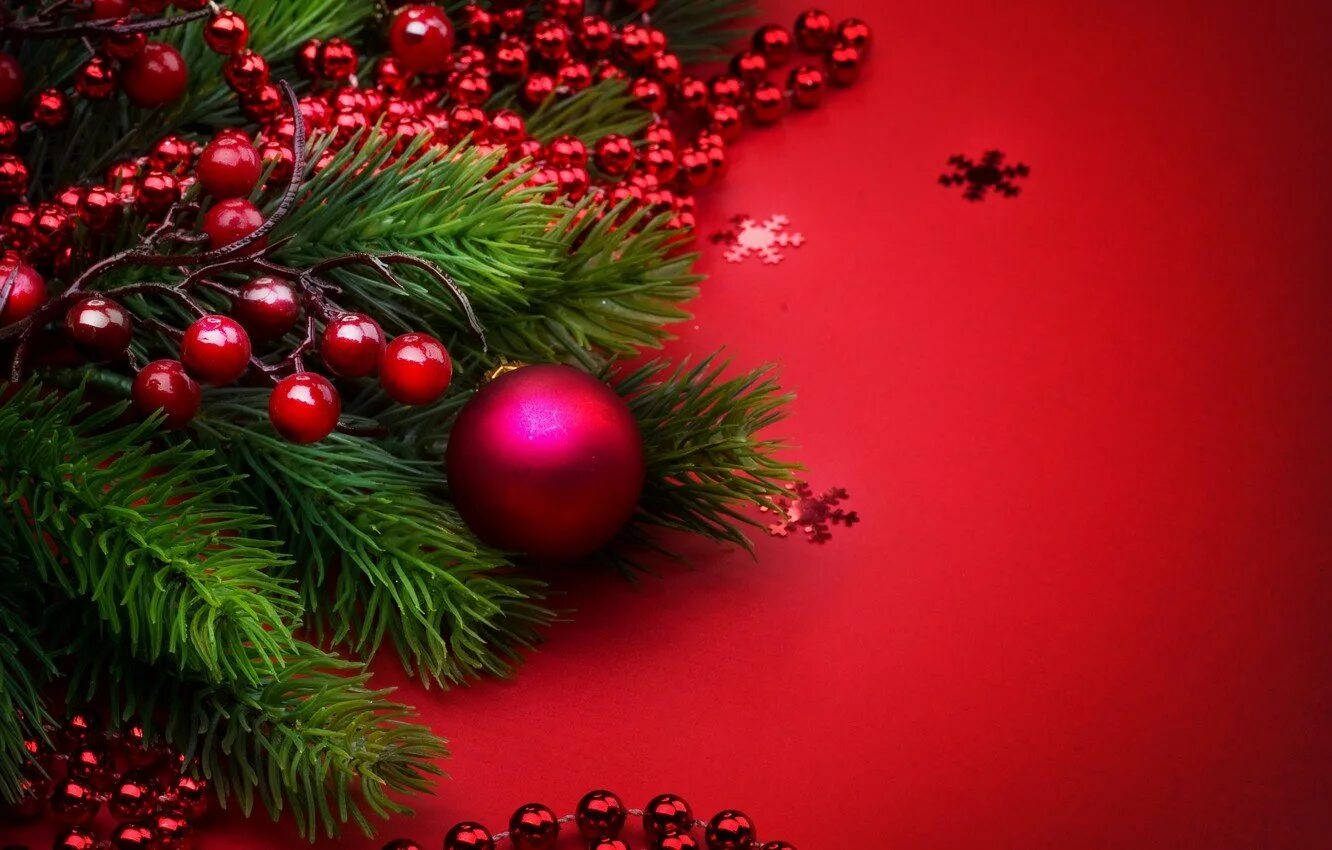 Нового red. Красивый новогодний фон. новогодняя ветка. новогодние обои. новогодний фон с елкой.
