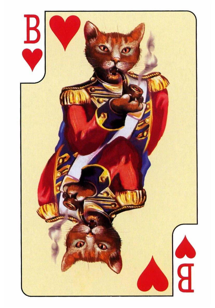 смешные игральные карты. коты в разных странах. кошки (карты игральные). карта коте. игральные карты с котиками.
