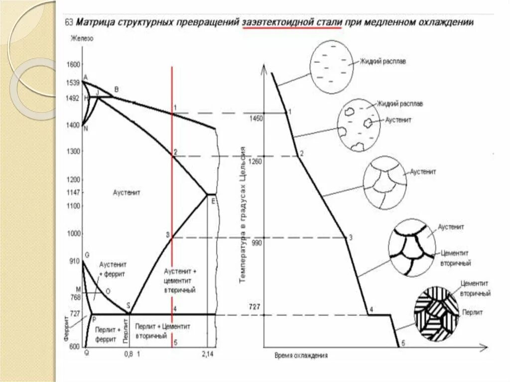 Сталь 85 кривая охлаждения. Заэвтектоидная сталь кривая охлаждения. Схема структуры заэвтектоидной стали. Диаграмма железо углерод 0.5 углерода.