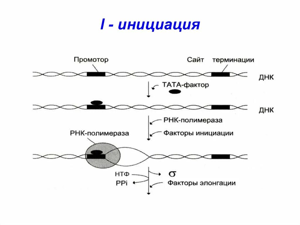 Инициация 5. Инициация проекта картинки. Виды инициации. Инициация проекта схема.