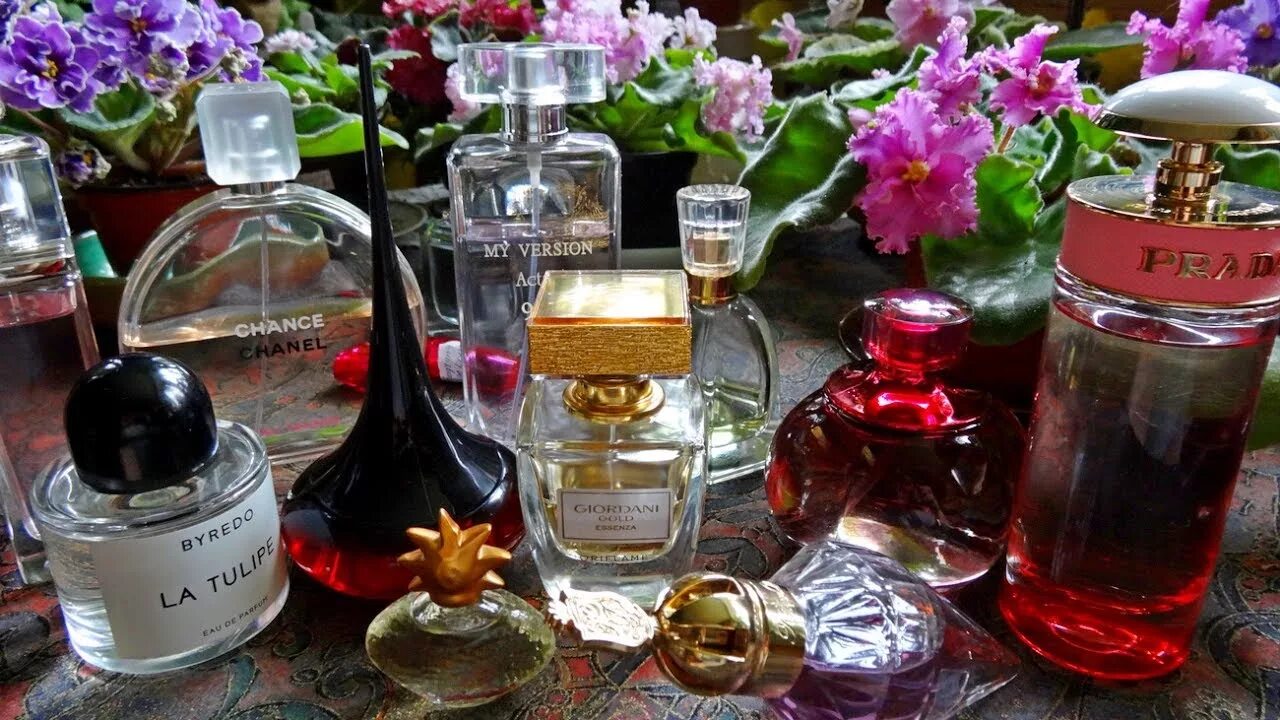 Самые комплиментарные ароматы. Летняя парфюмерия. Духи разные. Новогодние ароматы. Ароматы лета Парфюм.