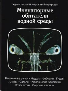 1 обитатель водной среды