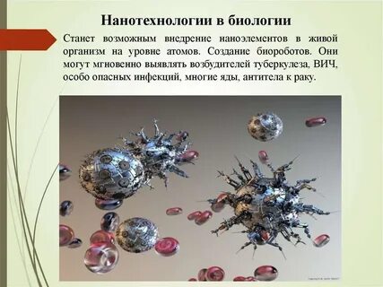 Нанобиология это