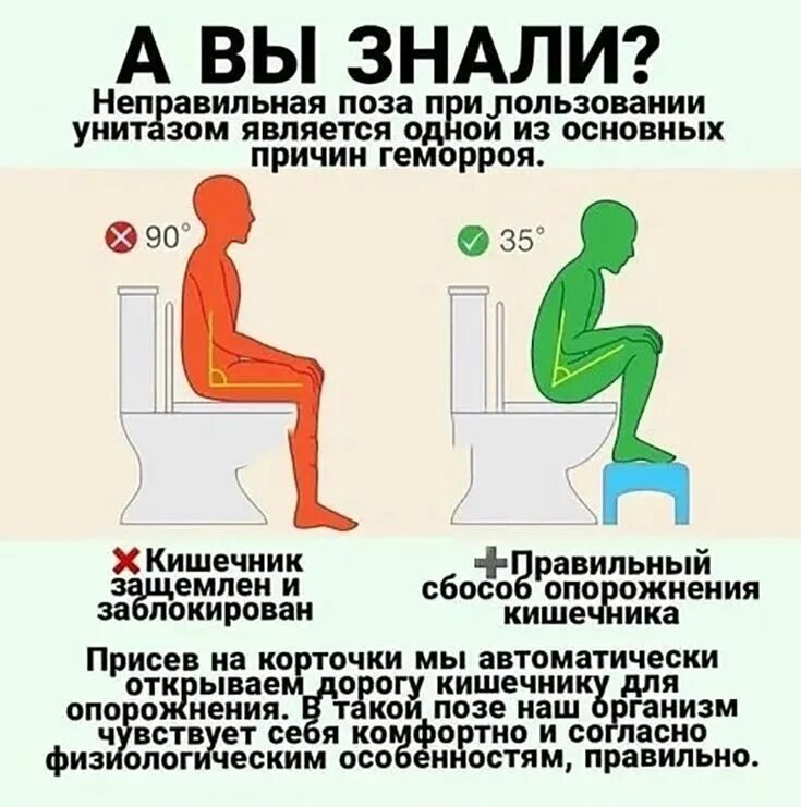 Как правильно сидеть при геморрое. Правильная поза для опорожнения. правильная поза для туалета. позы при геморрое. позы при геморрое удобные.