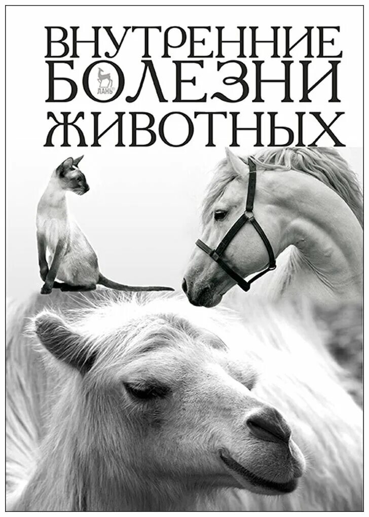 Внутренние незаразные болезни животных. Причины внутренних незаразных болезней животных. Общая профилактика внутренних болезней животных. Незаразные болезни животных. Незаразные болезни животных.