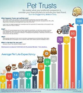 Your pet перевод