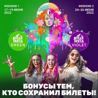 Где проходит фестиваль дикая мята