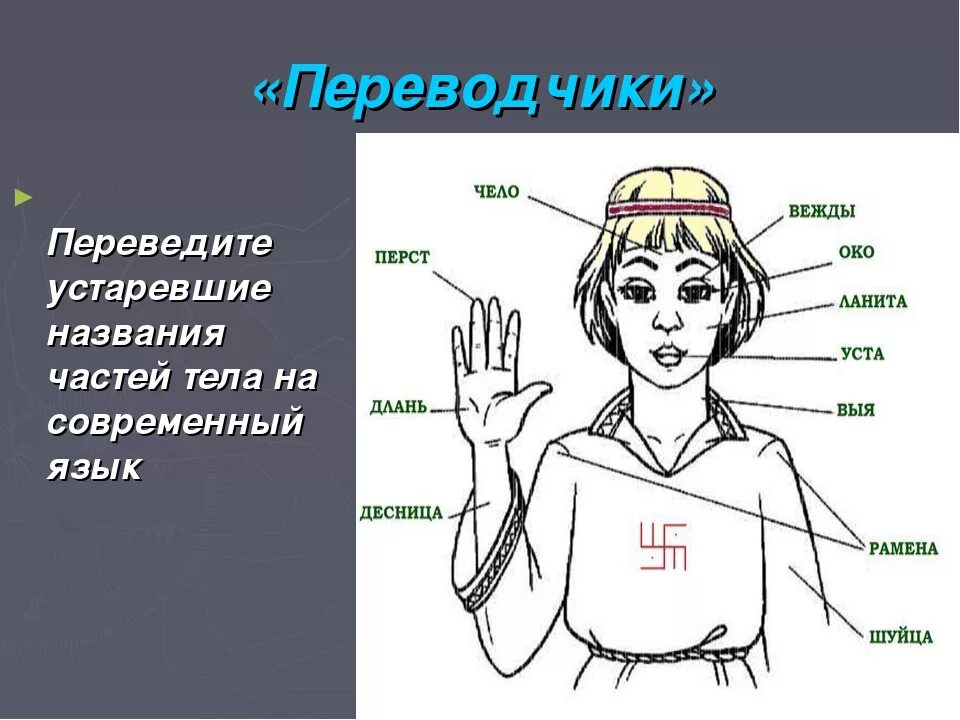 Перед вами толкование устаревших слов. Устаревшие названия частей тела. Архаизмы части тела. Старинные названия частей тела. Славянские названия частей тела.