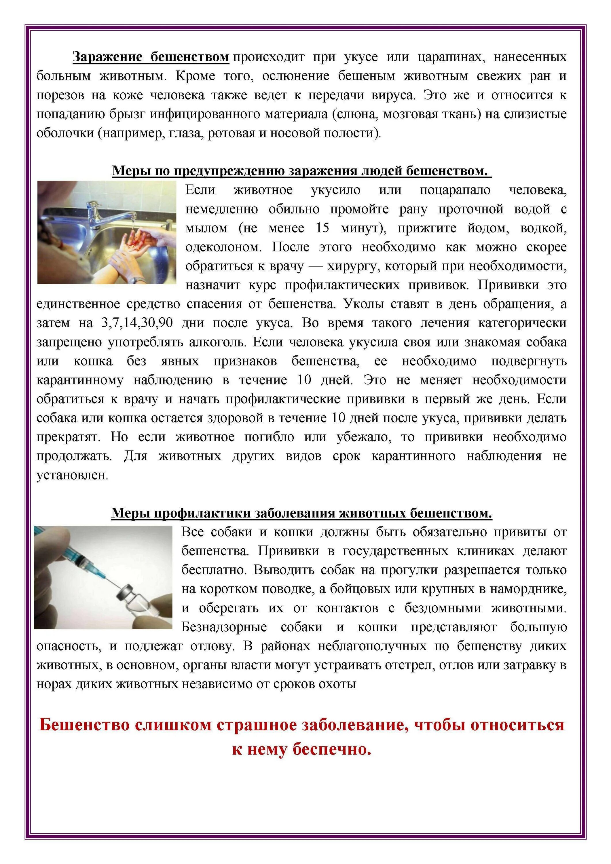 Профилактика прививки от бешенства. Антирабическая вакцина показания. Антирабическая вакцина схема вакцинации. Вакцинация от бешенства. Что нельзя после прививки от бешенства человеку.