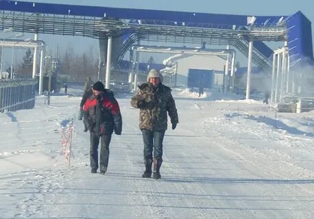 Погода в пурпе на 10