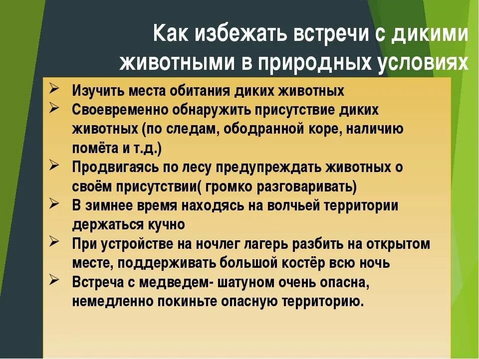 Правила поведения при встрече с дикими животными. Поведение при встрече с дикими животными. безопасное поведение при встрече с дикими животными. безопасность при встрече с дикими животными в природных условиях.