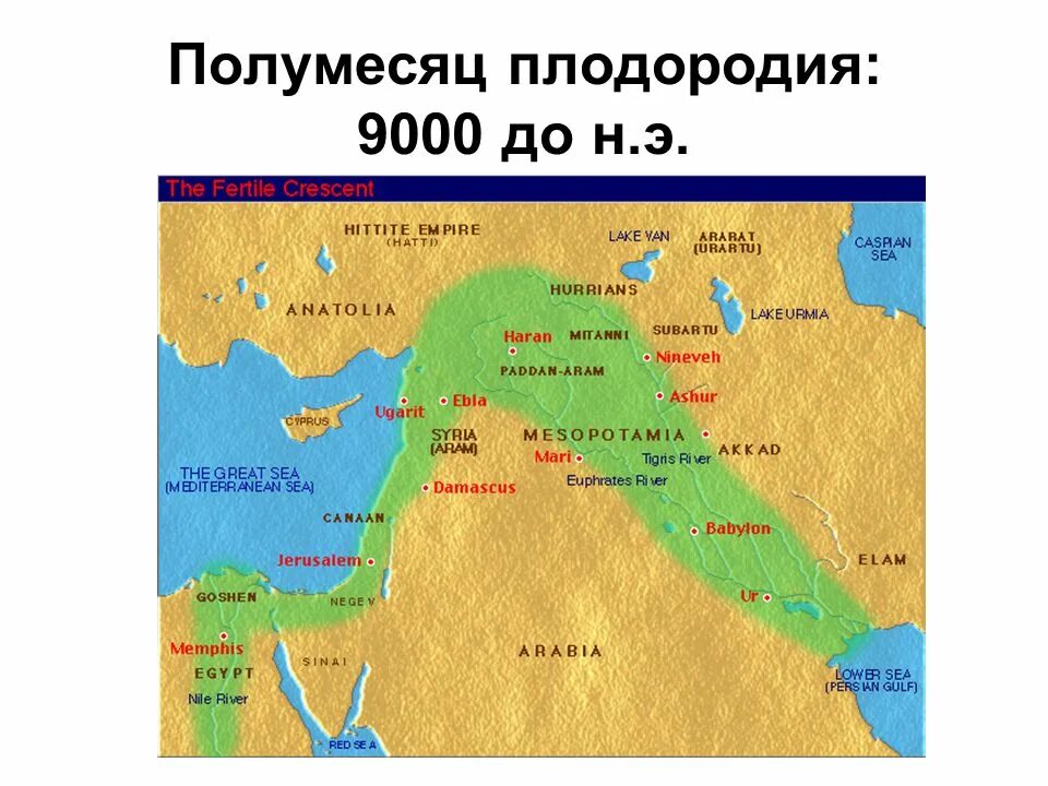 Города плодородного полумесяца