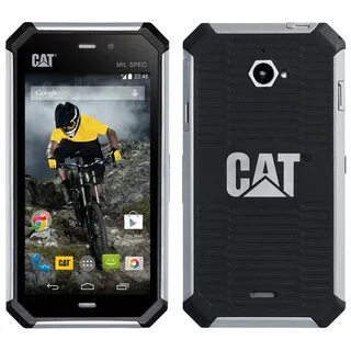 Cat s 0