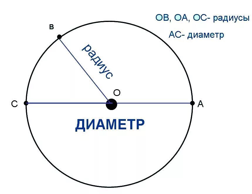 Сколько радиусов имеет диаметр. Радиус и диаметр окружности. окружность круг радиус диаметр. диаметр окружности это кратко. радиус и диаметр окружности 2 класс.