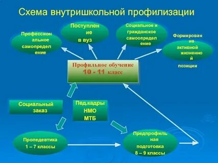 Основные направления профильного обучения
