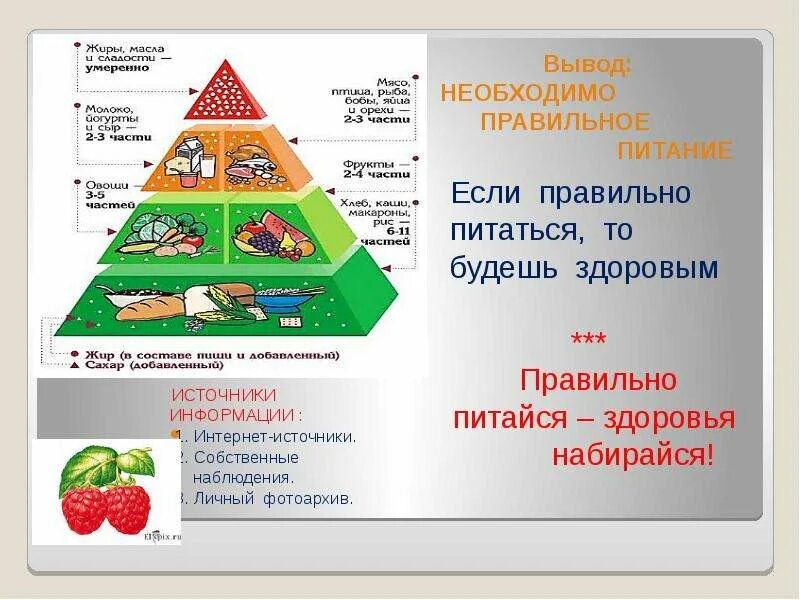 Исследовательская работа питание. Проект школа кулинаров книга здорового питания. проект правильное питание. школьный проект здоровое питание. проектная работа по правильному питанию.