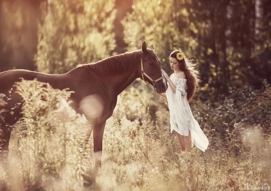 Девушки полу лошади. Фотосессия с лошадьми. Фотосессия с лошадью в платье. Фотосет с лошадью летом. Летняя фотосессия с лошадью.