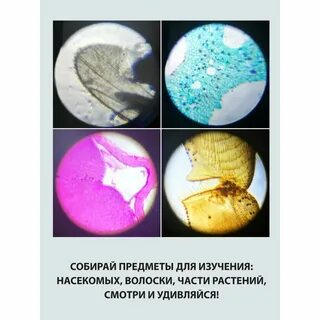 Крат содерж