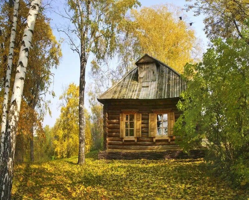 Дом под березами. Деревня изба река береза. деревенский домик. деревенский домик с березкой. пейзаж с избой.