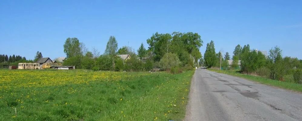 Большая дивенка улица володарского. Большая дивенка. Малая дивенка ленинградская область. Большая дивенка лужский. Большая дивенка лужский.