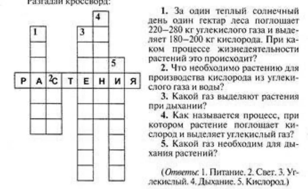 Кроссворд на тему растения. Кроссворд про растения с ответами. Кроссворд по биологии 6 класс на тему дыхание. Кроссворд с ответами. Биология 6 класс кроссворд на тему фотосинтез