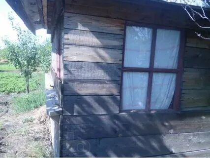 Погода в расловке 2 саратовская