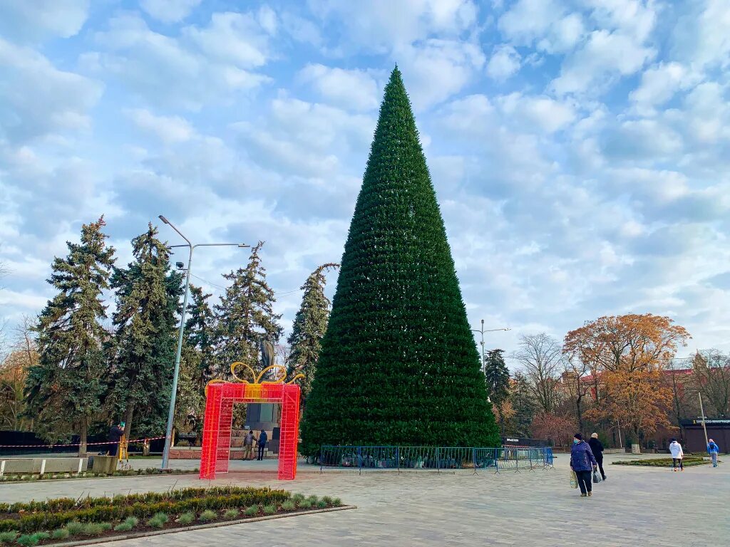 Елка на улице. Новогодняя елка в ростове на дону. Елка в ростове на дону. Елка рыночный базар. Елка в парке горького.