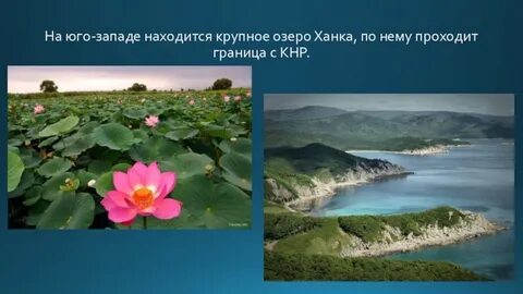 Географические координаты озера ханка