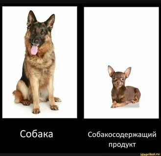 2 большие разницы