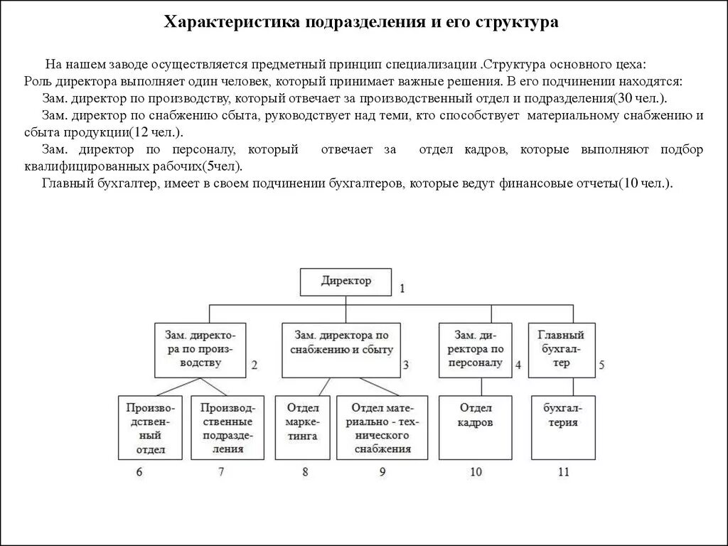 Особенности подразделения организации