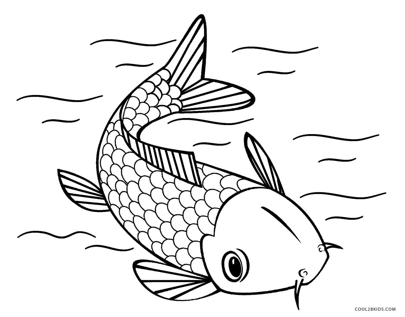 Раскраски рыбки для детей 3 4. Рыбка сомик аквариумный раскраска. Раскраска рыбка. Рыба раскраска для детей. Рыбка для раскрашивания для детей.
